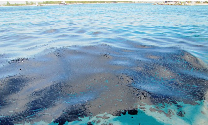 Oil Spill #3 | Baha Life