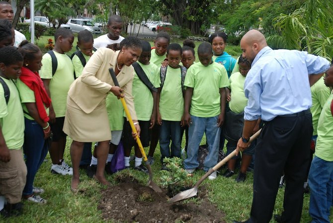 Dr Eslyn Jones (left), vice-president of Student Affairs at COB, and Sandals Foundation representative Chester Robards (right) plant a tree in honour of Nelson Mandela at the college.
