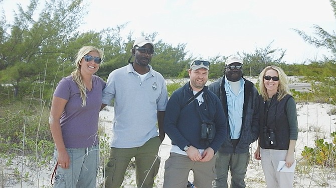 Members of the Audubon Trust have banded together with the Bahamas National Trust to track the piping plover population. 
