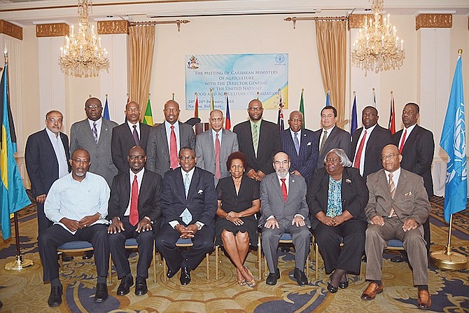 The gathering of CARICOM agriculture ministers yesterday. Photo: Shawn Hanna/Tribune staff