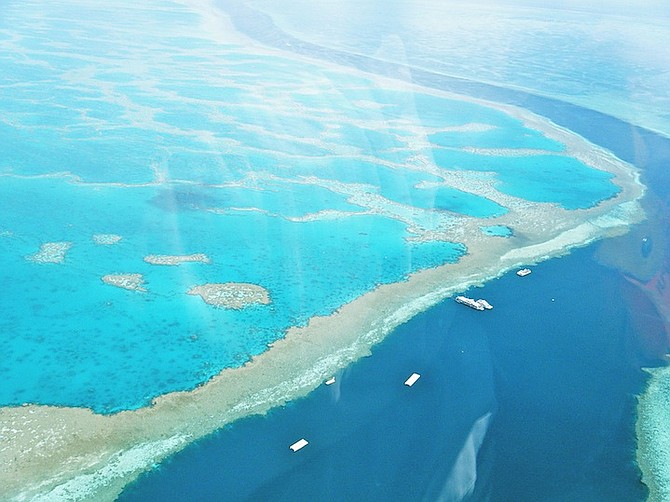 A view of the Great Barrier Reef from helicopter over the Whitsunday Islands, Australia.
