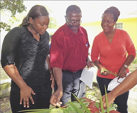 Marina Newton (right) with Constentina Hamilton, assistant farm manager, and Dr Joseph Lindsay (centre) during his crop production class at BAMSI.