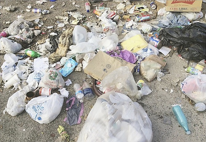Some of the garbage to be seen scattered on ground off Mackey Street yesterday. 
