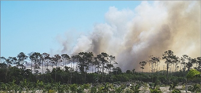 Smoke rising from the New Providence Landfill on Tuesday last week.
Photo: Heather Carey