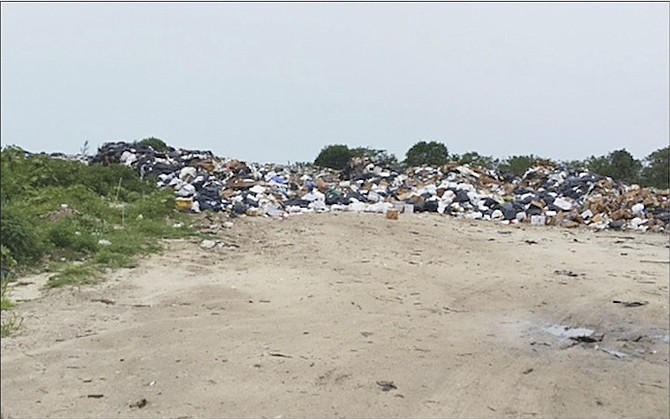 The piles of waste in South Bimini.