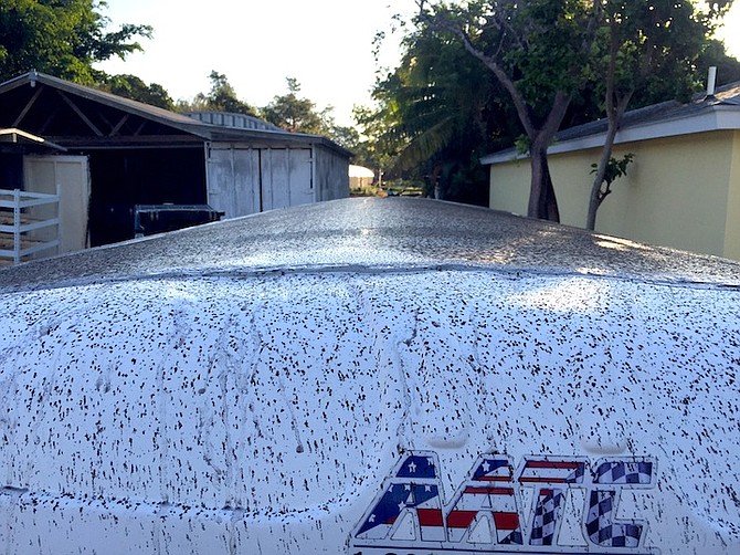 Oily residue on vehicles in the South Ocean area.