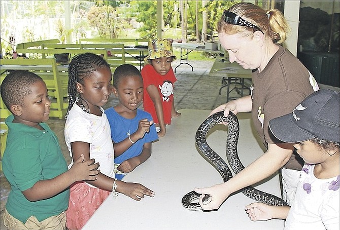 Youngsters at the Ardastra Gardens summer camp meet Daisy the boa constrictor yesterday. 