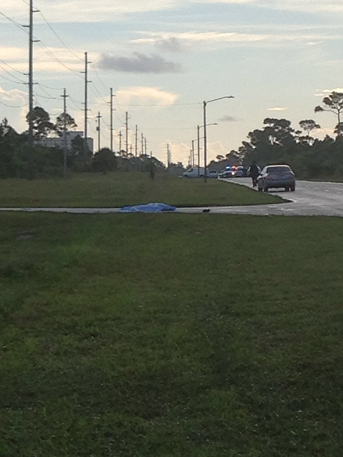 The scene at West Sunrise Highway on Sunday, where a pedestrian was killed.