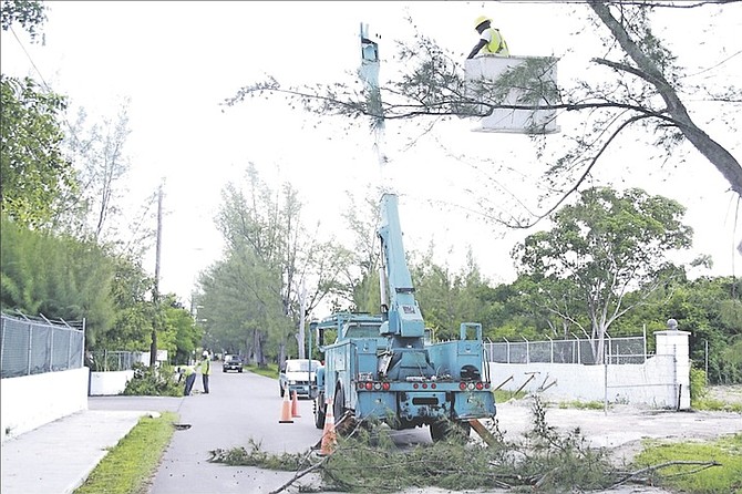 WORKERS cutting branches ahead of the arrival of Hurricane Matthew.
