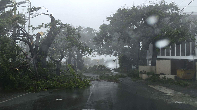 The scene on East Bay Street near the Paradise Island bridge on Thursday morning, with trees down and blocking the road