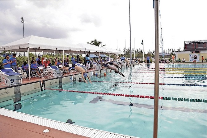MAKING A SPLASH: Swimmers compete in Barracuda Swim Club’s Annual Leno Corporate Services Invitational Swim Meet at Betty Kelly Kenning National Swim Complex over the weekend. 
                                                                                                                                                                                Photo: Terrel W Carey/Tribune Staff
