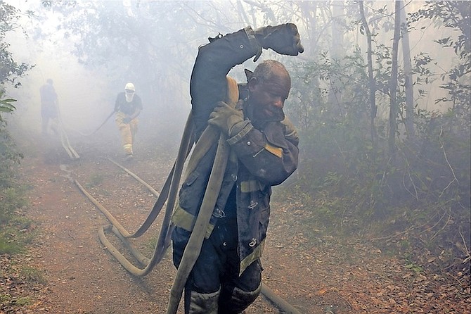 Firefighters working in the smoke to tackle a forest fire near the landfill last week. Photo: Terrel W. Carey/Tribune Staff