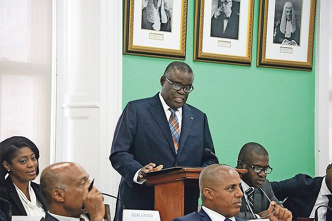 State Minister for Public Service and National Insurance Brensil Rolle speaks in the House of Assembly earlier this year.