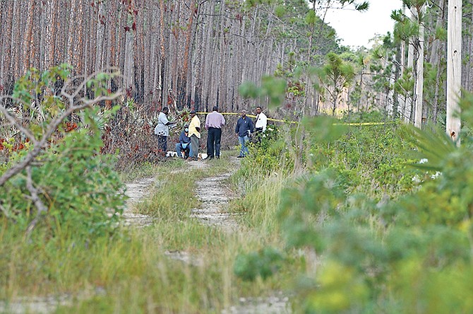 Police in Grand Bahama process the crime scene after a body was found in Freeport. Photo: Vandyke Hepburn