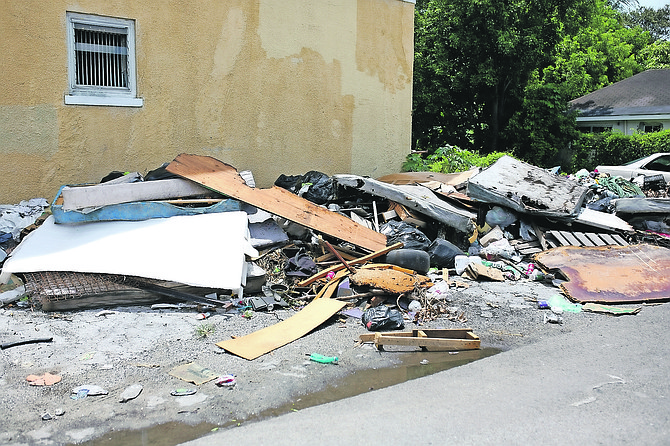 Some of the trash that residents have complained about in the area of Hay Street and Honeycombe Street. Photos: Terrel W. Carey/Tribune Staff
