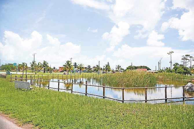 Pinewood Park had flooding yesterday after rain over the weekend. Residents have raised concern with the condition of drainage wells in the area.

(All photos: Shawn Hanna/Tribune staff)