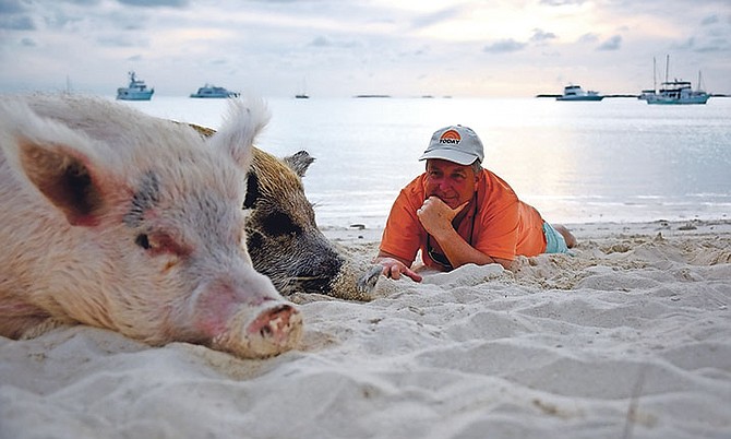 TODAY Show correspondent Kerry Sanders with the swimming pigs at Pig Beach in Exuma last year.
