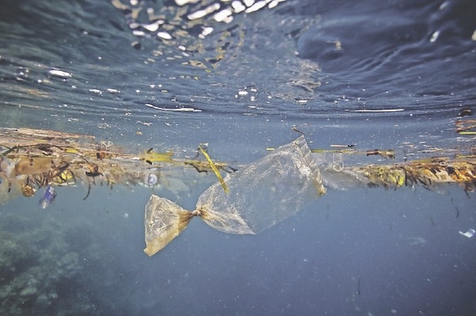 A plastic bag in the sea underwater. 