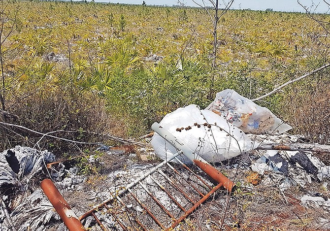Illegally dumped garbage in Grand Bahama. Photo: GBPA for Barefoot Marketing

 

 