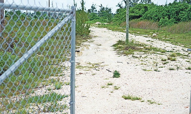 The track road behind the government park where a young girl was assaulted.

Photo: Terrel W. Carey/Tribune Staff

 