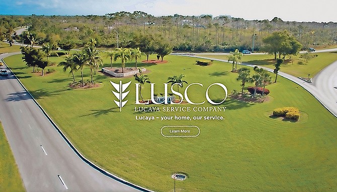 The new-look Lusco website.