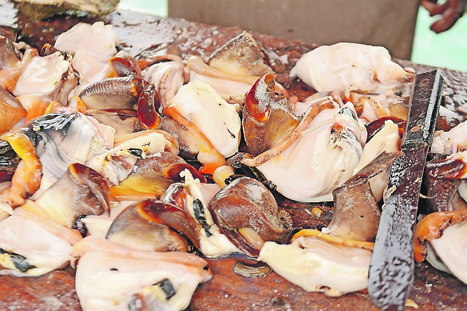 Conch being prepared at Potter’s Cay.