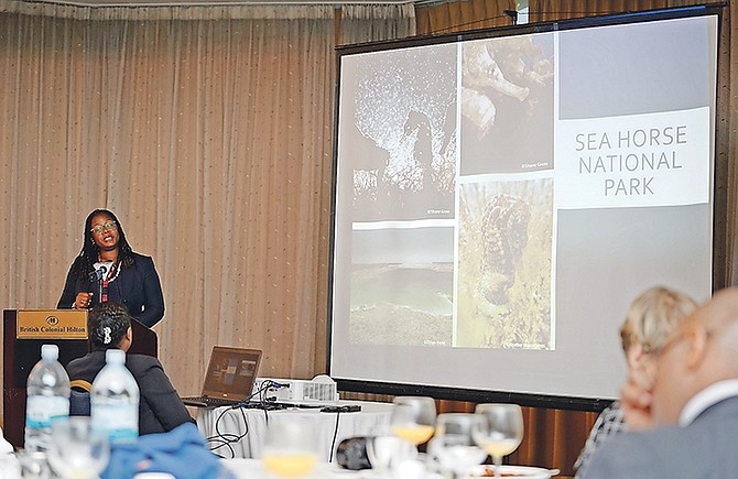 Shenique Albury-Smith, of The Natures Conservancy, giving a presentation at the British Colonial Hilton. Photo: Terrel W. Carey Sr/Tribune Staff