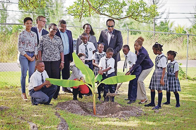 Tree planting at Adelaide Primary School with Minister of the Environment and Housing Romauld Ferreira and Patricia Minnis, wife of Prime Minister Dr Hubert Minnis. Photo: Terrel W. Carey Sr/Tribune Staff