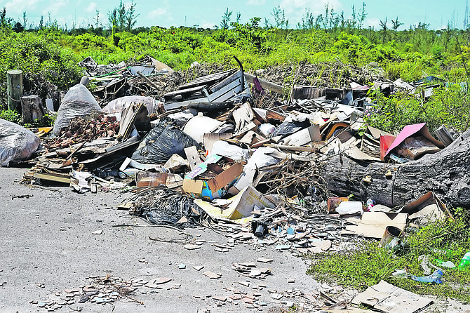 Illegal dumping in a vacant area just across from BHRA. Photo: Terrel W. Carey Sr/Tribune Staff