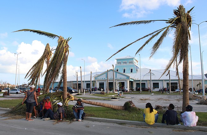 People sit under broken palm trees outside the Leonard M. Thompson International Airport after the passing of Hurricane Dorian in Marsh Harbour, Abaco on Thursday. (AP Photo/Gonzalo Gaudenzi)