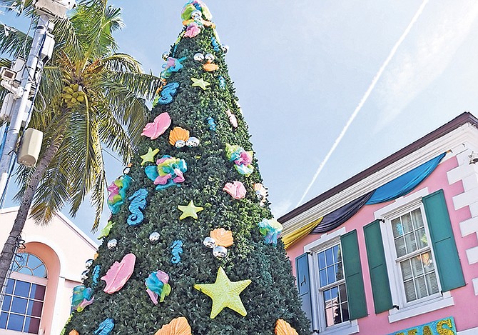 The Christmas tree in Rawson Square. Photo: Shawn Hanna/Tribune staff