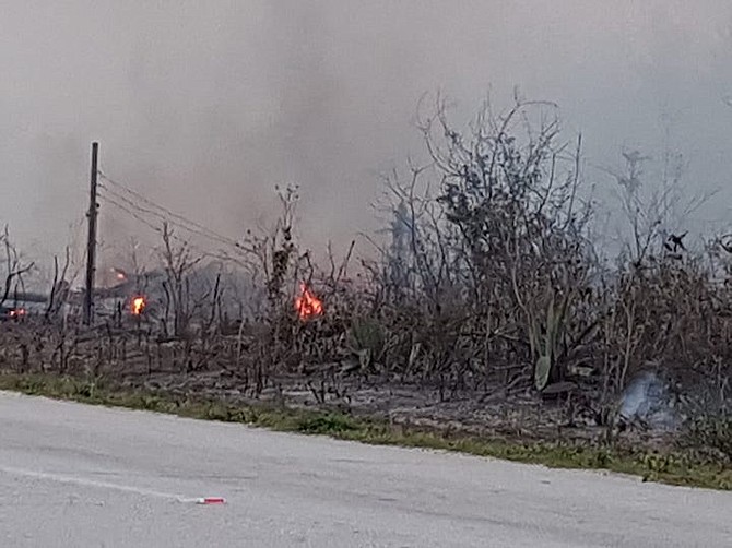 The blaze ripped through the pine forest in the Freeport Ridge Estates area.