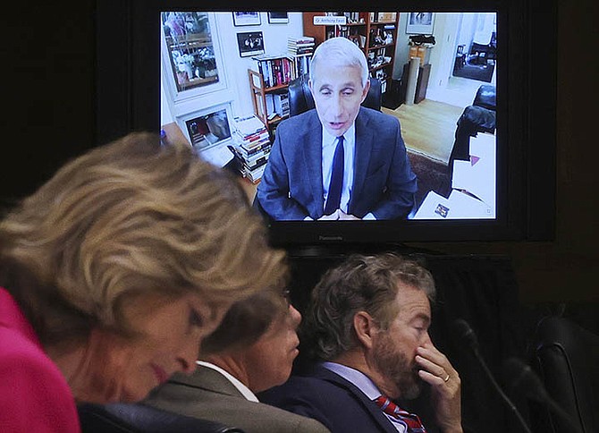 Senators listen as Dr Anthony Fauci speaks remotely during a virtual Senate committee hearing.