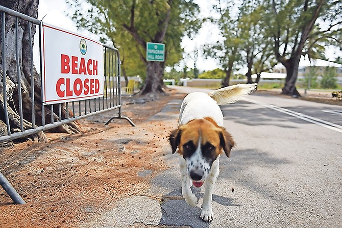 Closed beaches have been a common sight over the last few months.
Photo: Shawn Hanna/Tribune Staff