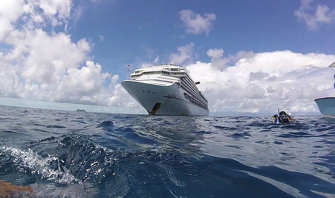 MARINE biologists, scientists, and professional divers representing The Bahamas National Trust and other local organisations took part in a rapid marine assessment of the seabed in the Northern Berry Islands on September 8.