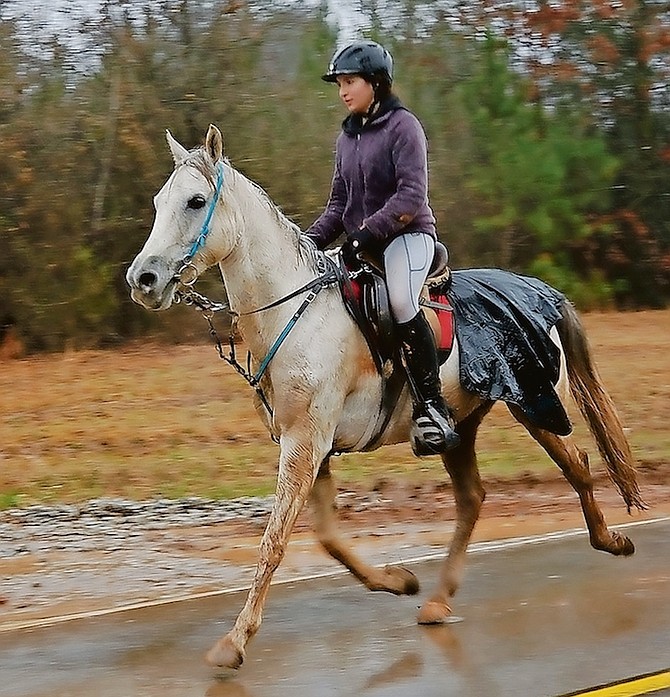 Reine Pagliaro and Beautiful Knightmare (owner: Mary Kathryn Clark) worked on increasing speed during the Broxton Bridge Endurance Race, SC. The pair finished tied for second place. Pagliaro and Beau continue to train in all weather, even in the freezing rain last week in Georgia.