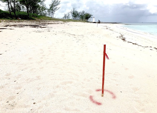 A SURVEY stick marking on the beach side of the Paradise Island lighthouse parcel of crown land.