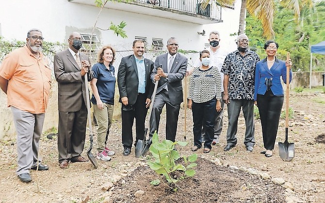 ANN MARIE DAVIS, wife of Prime Minister Philip “Brave” Davis, alongside MPs Fred Mitchell, Basil McIntosh and Clay Sweeting at the Fox Hill Fruit Forest Tree planting ceremony organised by High Commissioner to The Bahamas Sarah Dickson, the Bahamas National Trust and the Caribbean Agricultural Research and Development Institute. Photo: Donovan McIntosh/Tribune Staff