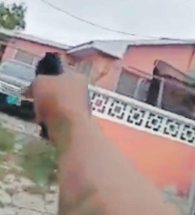 A MAN was arrested yesterday after reportedly driving past a house and firing a gun at it while shouting death threats. A video posted to Facebook was seemingly recorded by the man as he opened fire. In this image from the video, several shots are fired toward the building.