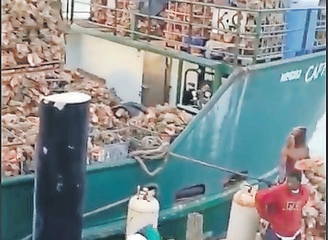 IMAGES from the viral video showing conch being loaded onto a ship.
