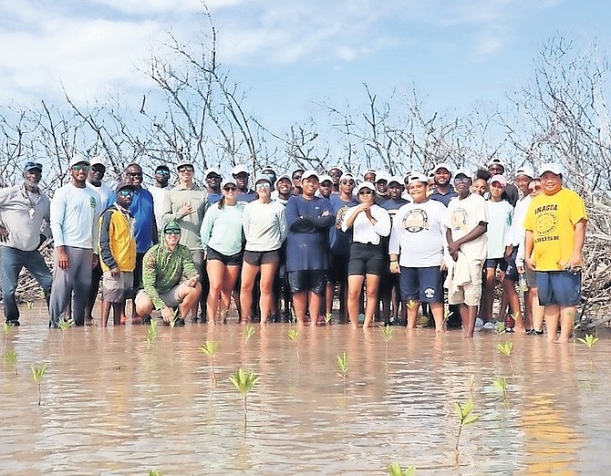 MEMBERS of the team who have been planting mangroves in East Grand Bahama as part of a project to plant 100,000 seedlings in a multi-year effort. Efforts at the weekend saw mangroves being planted in the Maclean’s Town area.