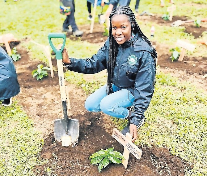 SHANYHAH Bowe plants her own coffee tree in Costa Rica.