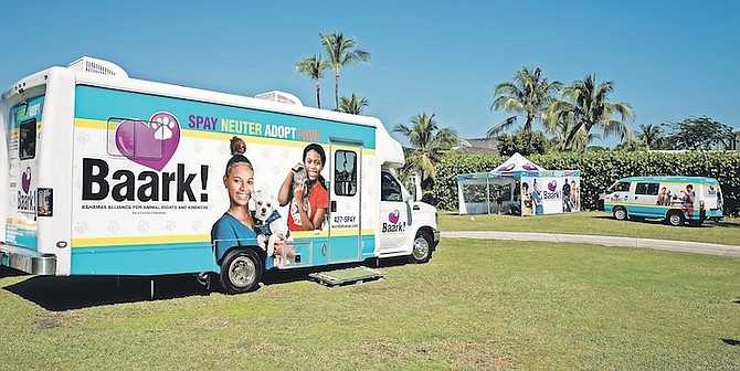 BAARK’s mobile clinic, which visits a number of locations as part of efforts to spay and neuter pets.
