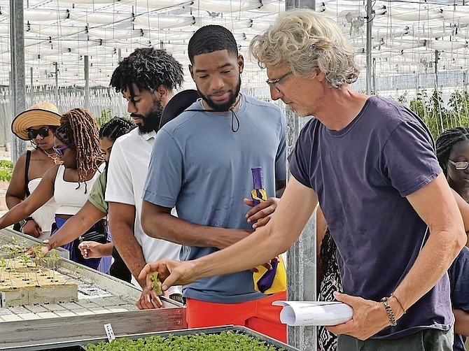 A group of visiting students from Prairie View A & M University volunteer on the Farm at the Centre for Training and Innovation (CTI) where they learn sustainable farming techniques.