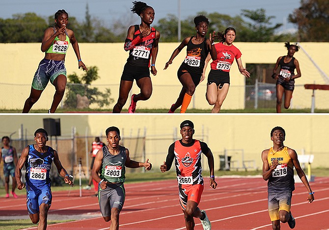 Athletes in action at the three-day meet over the weekend. Photos: Dante Carrer
