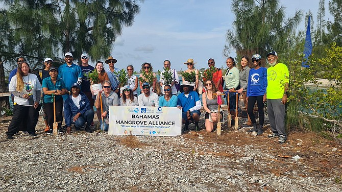 THE BAHAMAS Mangrove Alliance and a team from the Clinton Global Initiative, along with representatives from the Ministry of Tourism and GB Devco participated in the ceremonial planting of 150 seedlings.