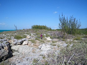 Photo detail