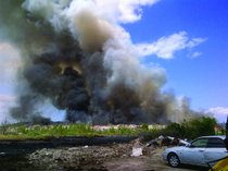 photo thumbnail