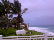 photo thumbnail