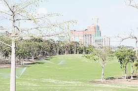 Photo detail